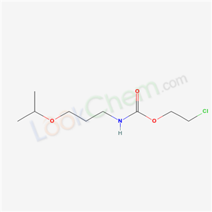 2-chloroethyl N-(3-propan-2-yloxypropyl)carbamate
