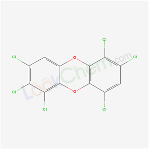 Click to see the large picture