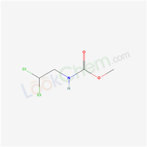 N-(2,2-Dichloroethyl)carbamic acid methyl ester