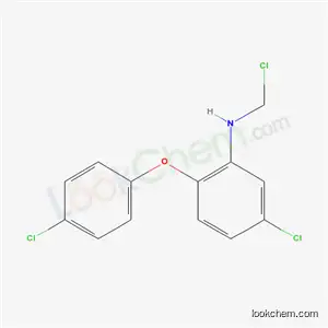 5-クロロ-N-(クロロメチル)-2-(4-クロロフェノキシ)アニリン