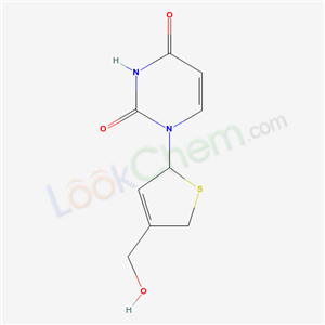 Click to see the large picture