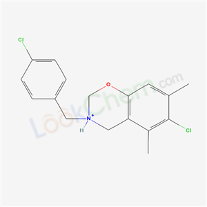 Click to see the large picture