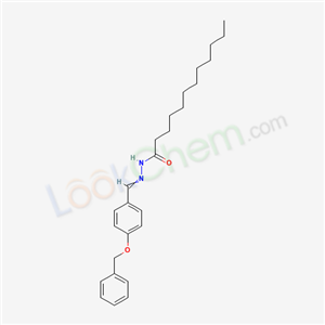 Click to see the large picture