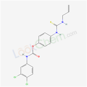 Click to see the large picture