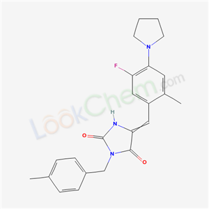 Click to see the large picture