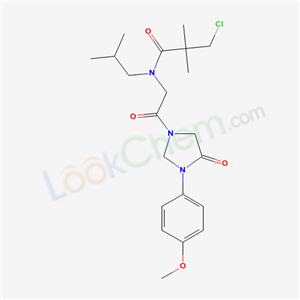 Click to see the large picture