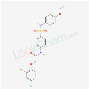 Click to see the large picture