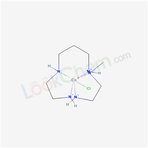 Click to see the large picture