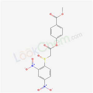 Click to see the large picture