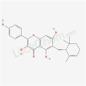 Click to see the large picture