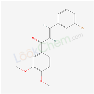 Click to see the large picture