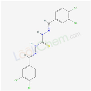 Click to see the large picture