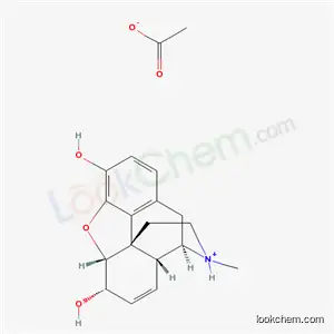 모르핀 아세테이트