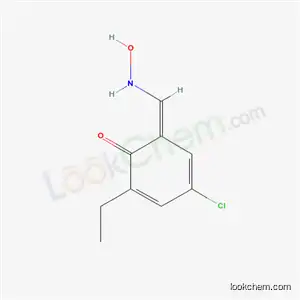 5-클로로-3-에틸-2-하이드록시벤즈알데히드 옥심