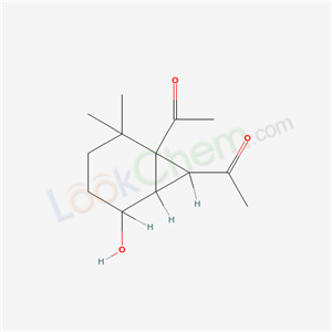 Click to see the large picture