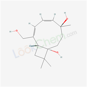 Click to see the large picture