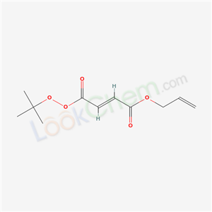 Click to see the large picture