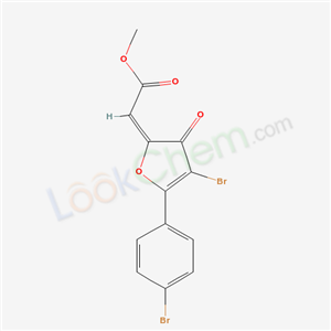 Click to see the large picture