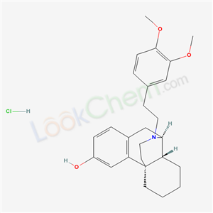 Click to see the large picture