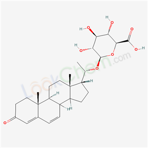 Click to see the large picture