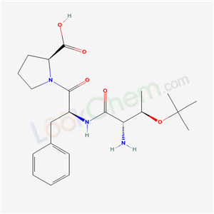 Click to see the large picture