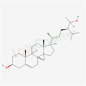 Click to see the large picture