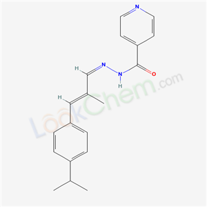 Click to see the large picture