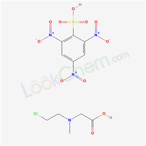 Click to see the large picture