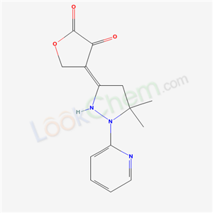 Click to see the large picture