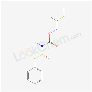 Click to see the large picture