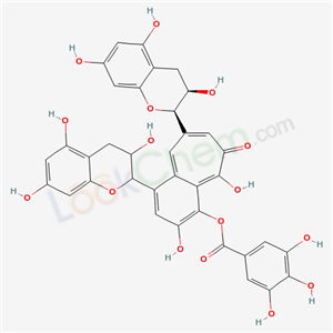 Click to see the large picture