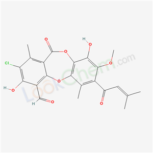 Click to see the large picture