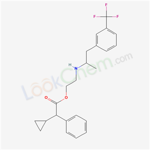 Click to see the large picture