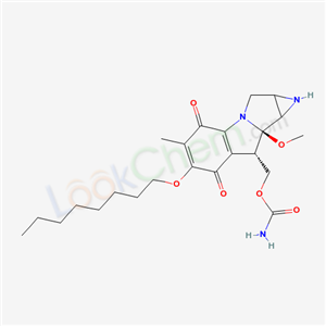 Click to see the large picture