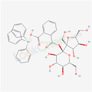 Click to see the large picture