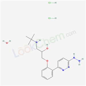 Click to see the large picture