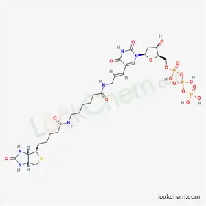 ビオチン-11-dUTP
