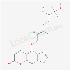 Click to see the large picture