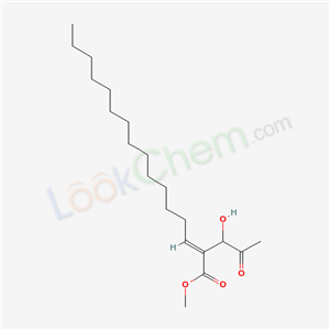 Click to see the large picture