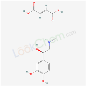 Click to see the large picture