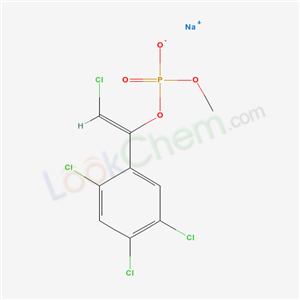 Click to see the large picture