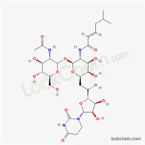 스트렙토 비 루딘