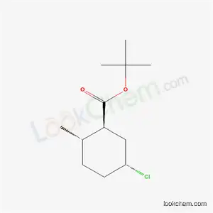 Molecular Structure of 5748-22-1 (tert-butyl (1S,2S,5R)-5-chloro-2-methyl-cyclohexane-1-carboxylate)