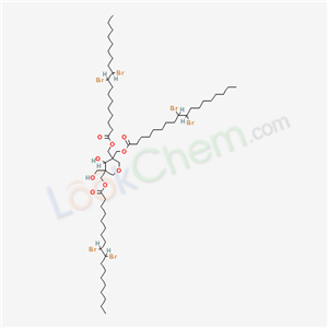 Click to see the large picture