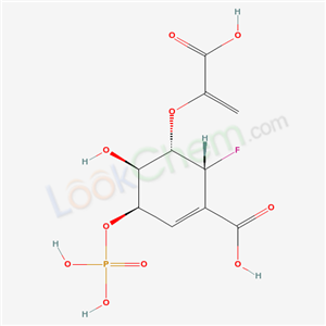 Click to see the large picture