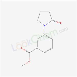 3-(2-Oxo-pyrrolidin-1-yl)-benzoic acid methyl ester