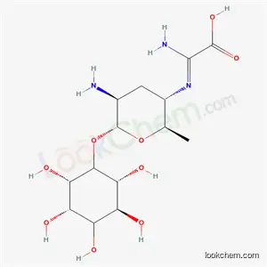 카스가마이신 황산염)