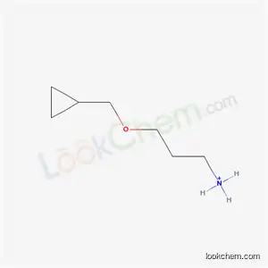 3-(Cyclopropylmethoxy)propan-1-aminium