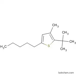 Molecular Structure of 89036-24-8 (Thiophene, 2-(1,1-dimethylethyl)-3-methyl-5-pentyl-)