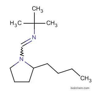 Molecular Structure of 89656-28-0 (Pyrrolidine, 2-butyl-1-[[(1,1-dimethylethyl)imino]methyl]-)